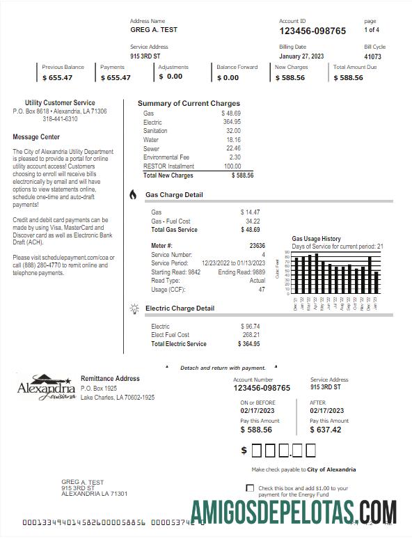 imprimível Modelo Word e PDF de conta de serviços públicos ALEXANDRIA dos EUA